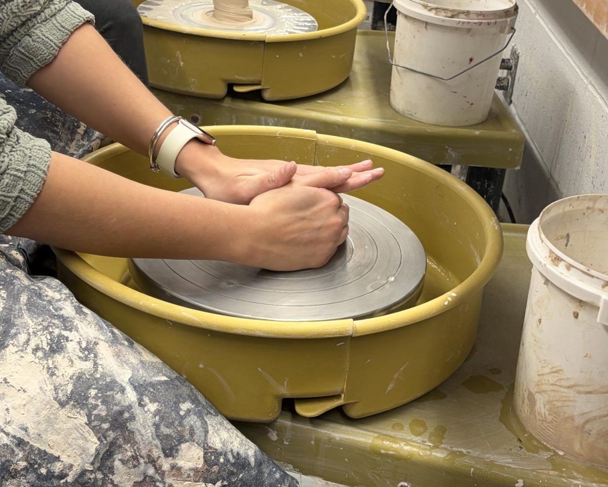 Showcasing Growth Through Art