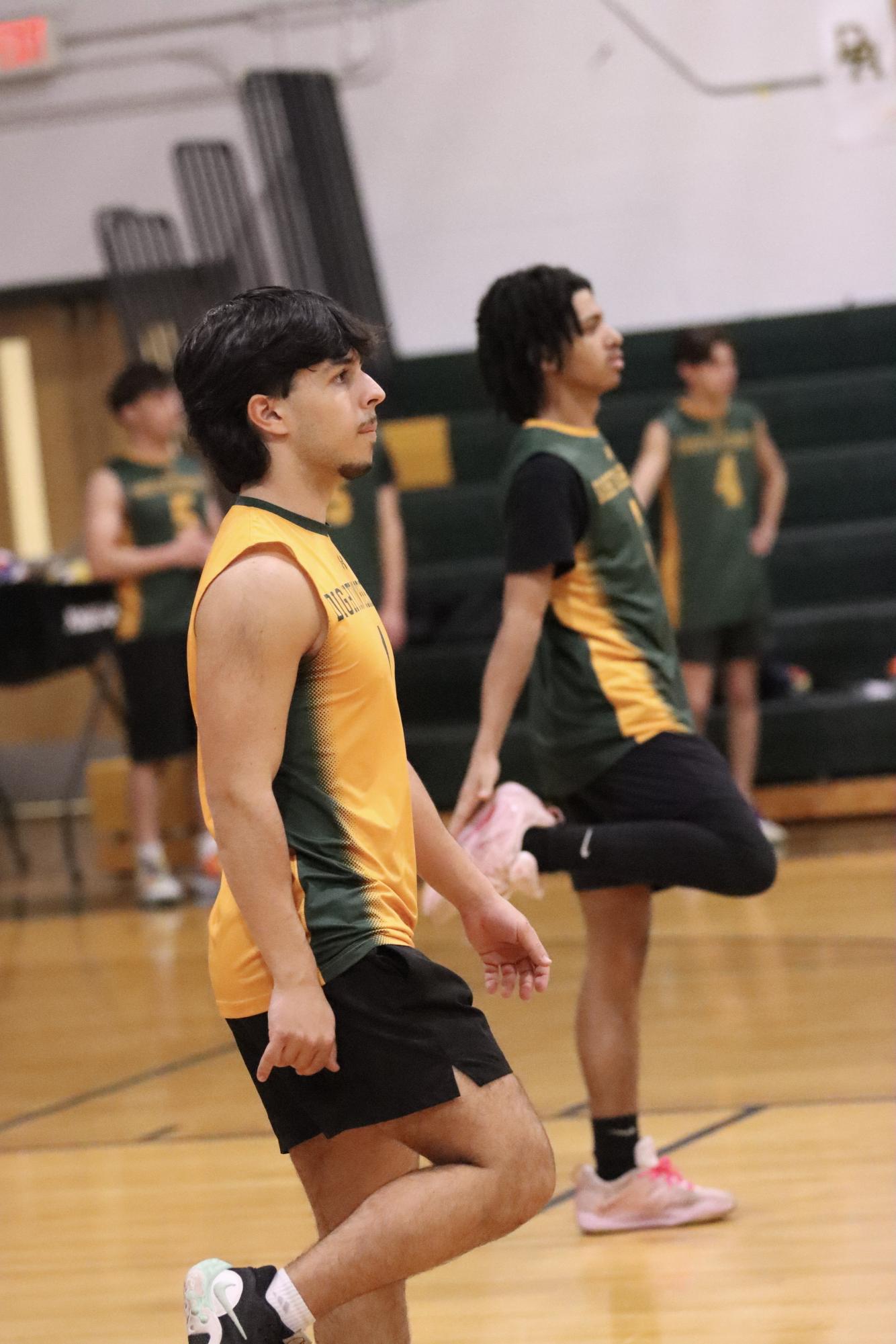 Set. Spike. Win.