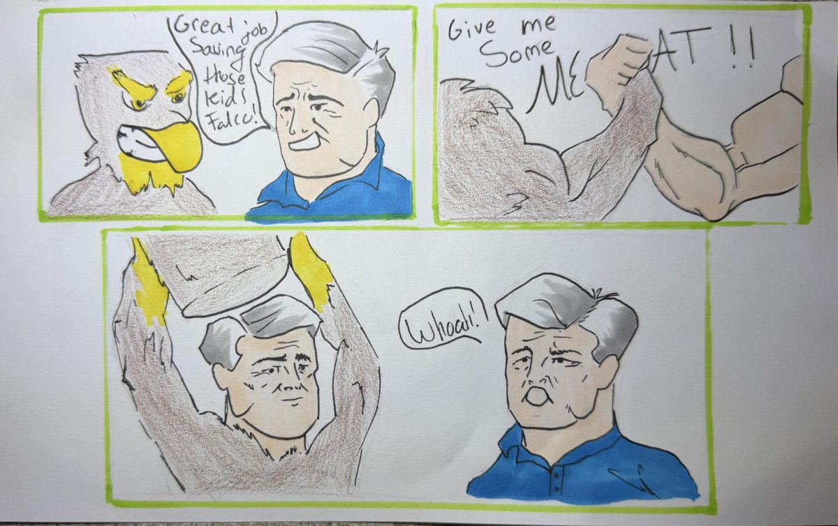 The Falcon Dap
